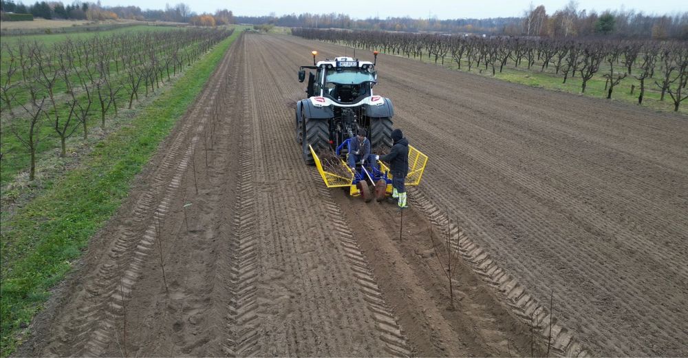 Zakladanie plantacji sadu Sadzenie drzewek jabłoni wiśni czereśni GPS