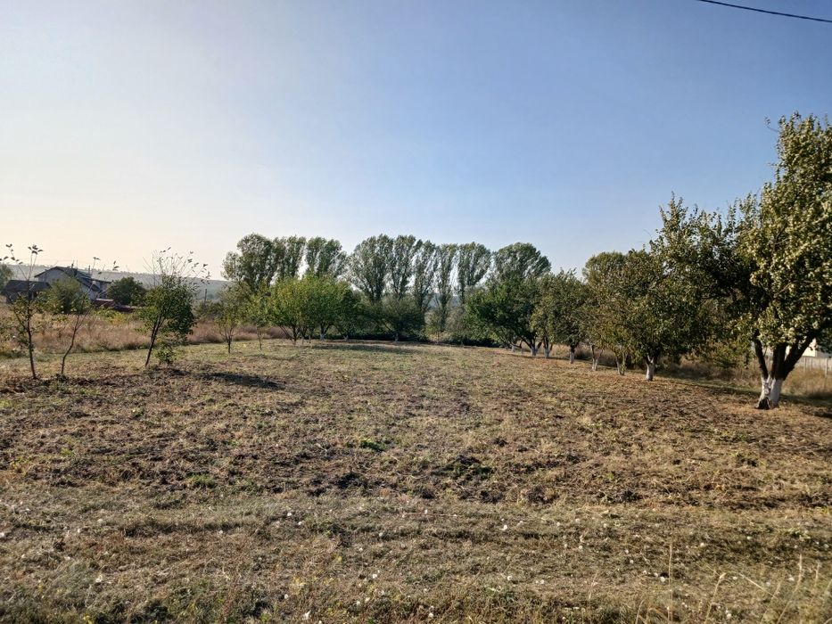 Продам земельну ділянку