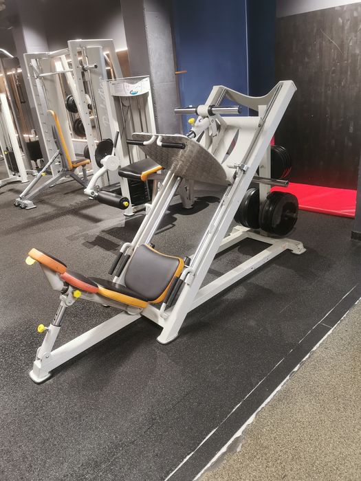 Жим ногами під кутом вадзарі