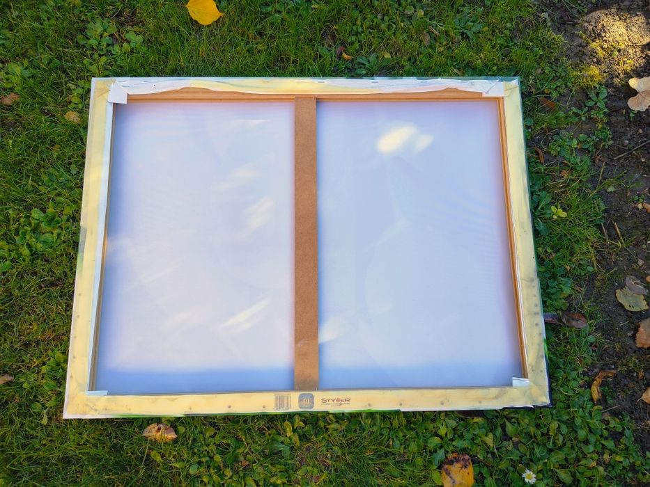 Obraz białych tulipanów