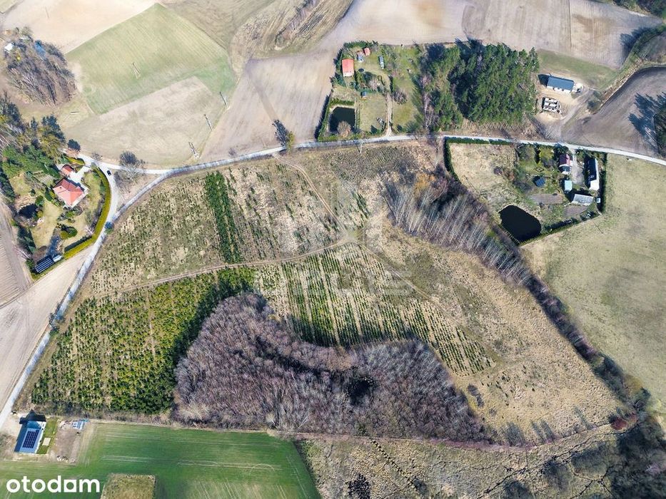 Urokliwe działki z naturą w tle - Widok 3