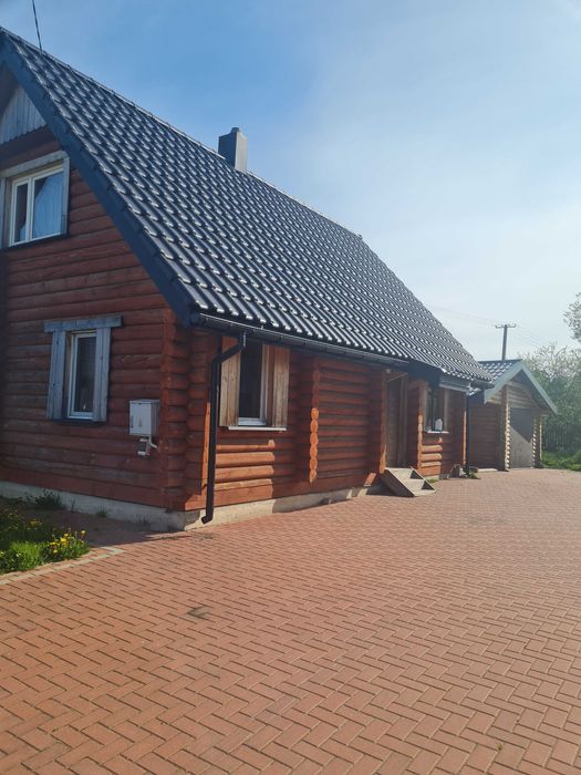 dom kuriany wynajmę