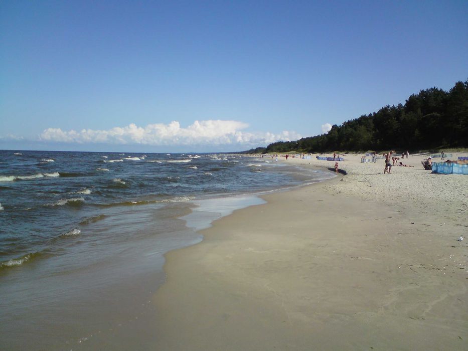 Apartament nad morzem , pokój z aneksem  ferie