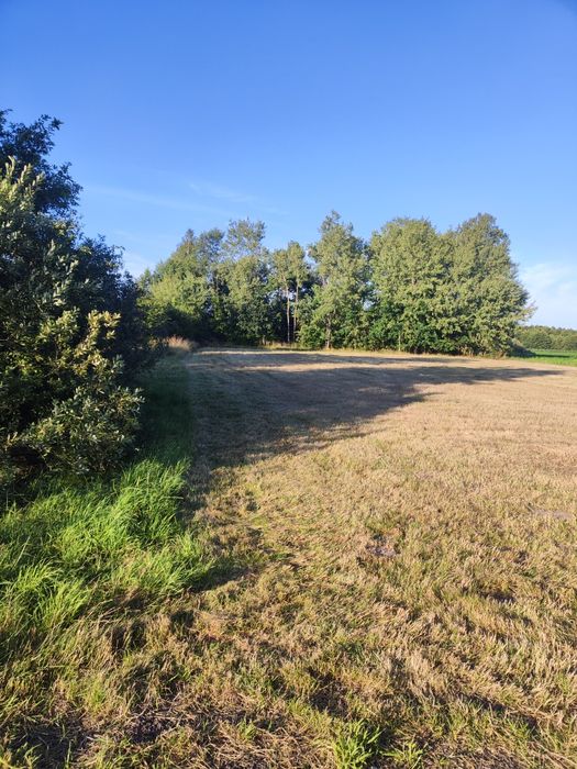 Działka z warunkami zabudowy 38 ary