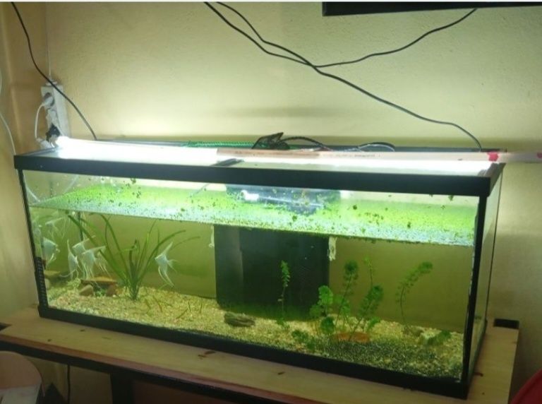 Aquário 1 metro com tampas de vidro