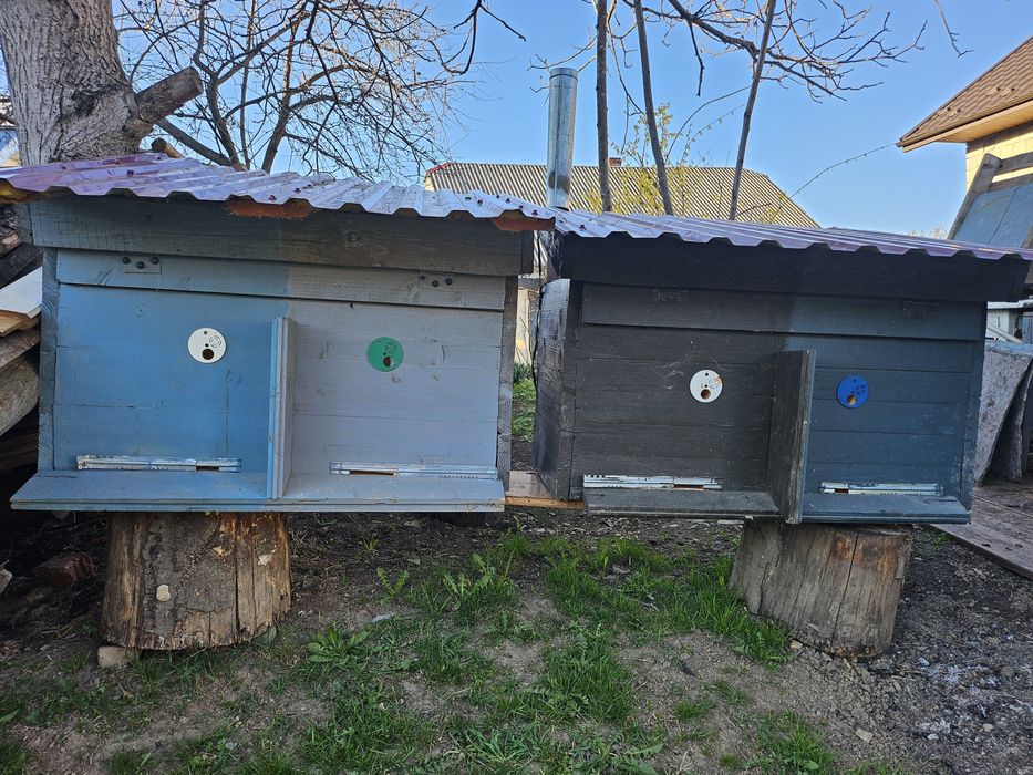 Продаються вулики