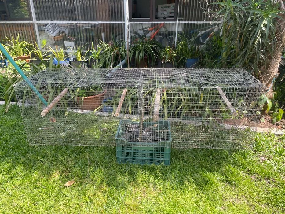 Vendo várias gaiolas