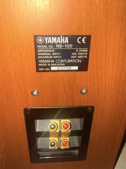 Kolumny Yamaha  NS100 sprawne bez jednej blaszki (na zdjeciu)