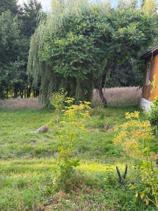 Działka rolno budowlana Węglinek
