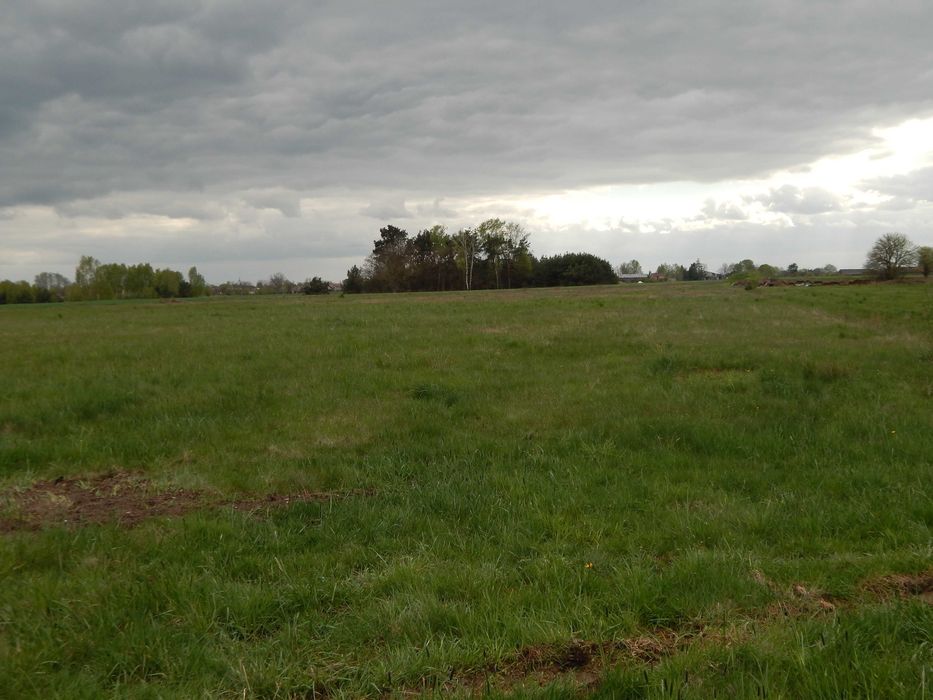 Działka Rekreacyjno - Budowlana (prąd, gaz )  1500 m2 W.Z.