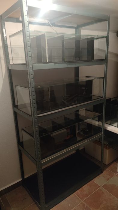 Beteiras, Aquários para Betas.