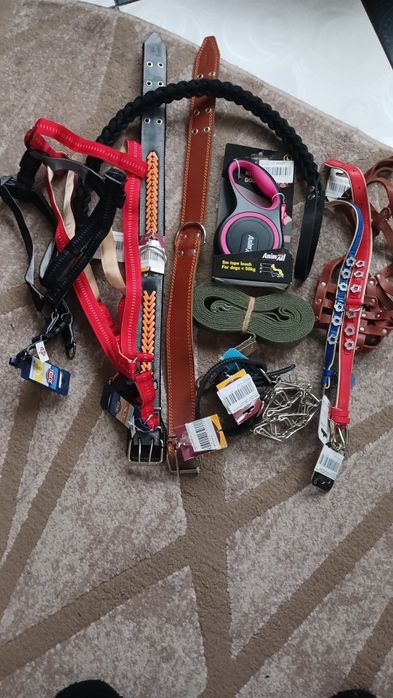 Все для собак (поводки, нашийники)