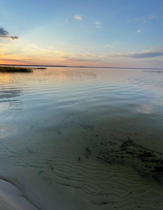 Продам земельну ділянку 2га біля Шацьких озер. Власник