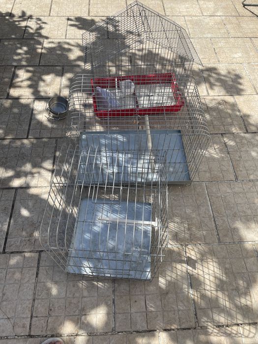 Gaiolas grandes para venda