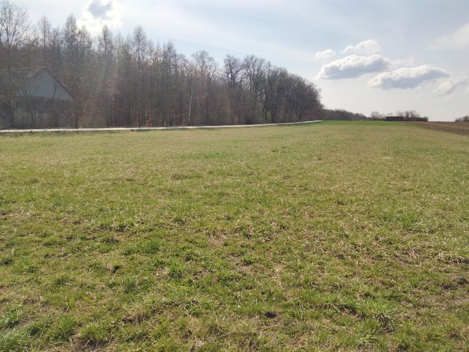 Na sprzedaż działka budowlana Michałów, Nr. 1432/1