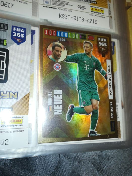 Album z Kartami Panini - FIFA 365 edycja 2019/20 (258 z 423 sztuk)