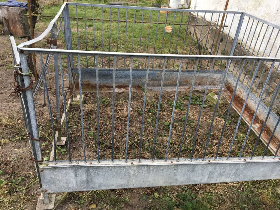 Клітка для свиней