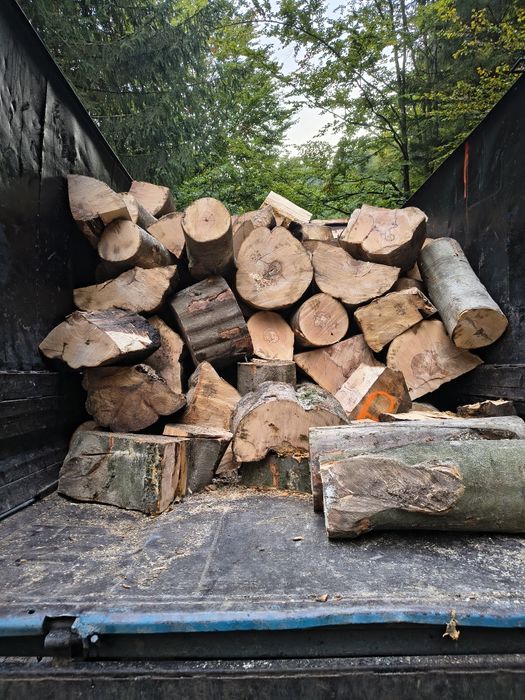 Drewno kominkowe opałowe Buk