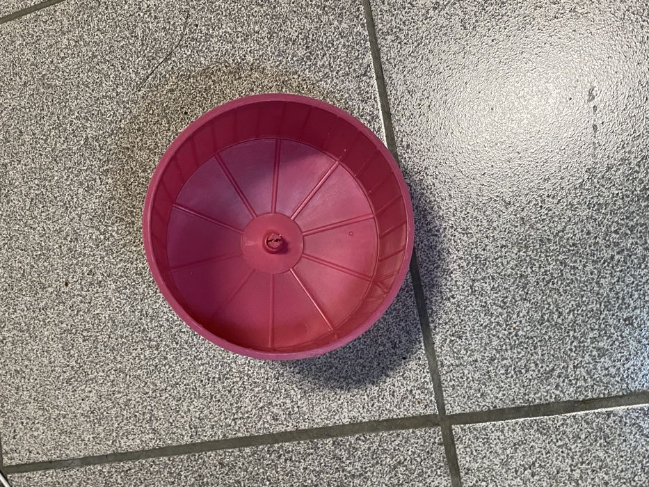 Gaiola hamster com acessórios