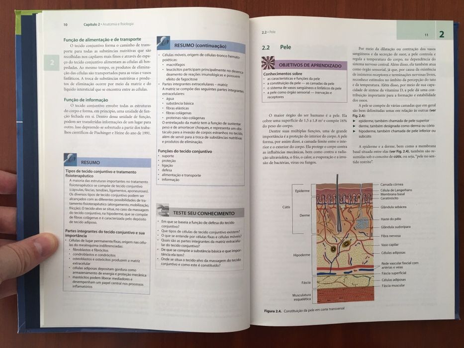 Livro Reflexo Terapia da Editora Manole como novo