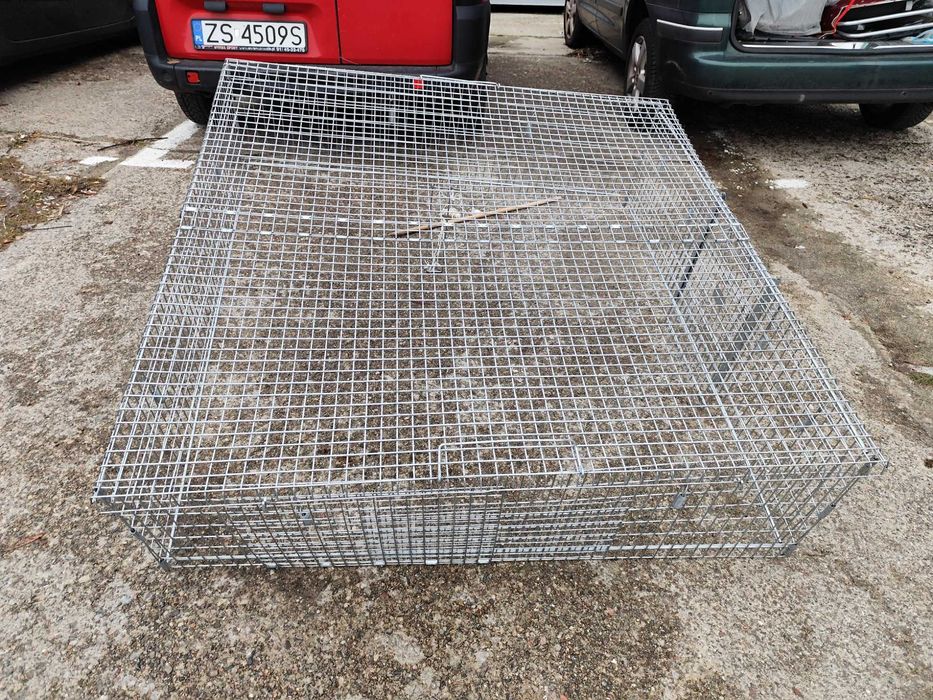 klatka pułapka dla kota