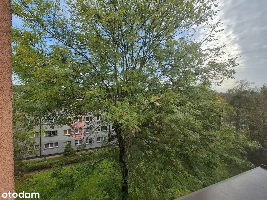 Mieszkanie – Bytom - Widok 4