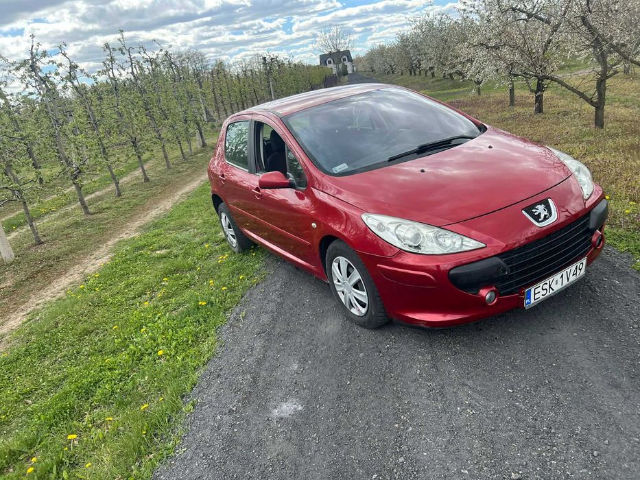 Peugeot 307 1,6 hdi