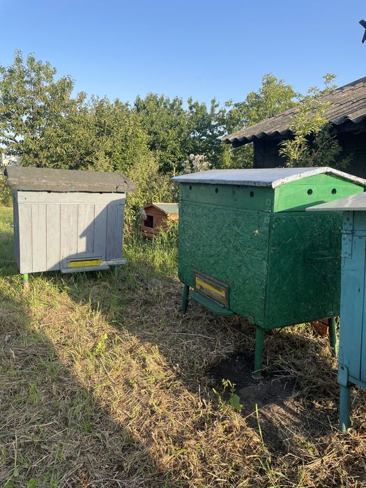 Sprzedam ule wielkopolskie leżaki