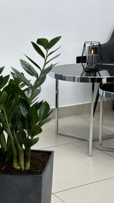 Оренда перукарського крісла з автоматичним генератором+EcoFlow