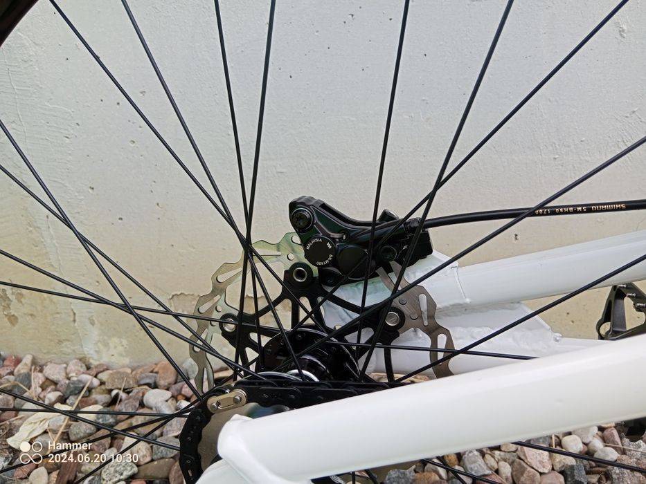 Rower trial echo zoo! zhi