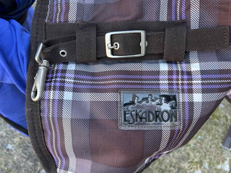 Попона для коня