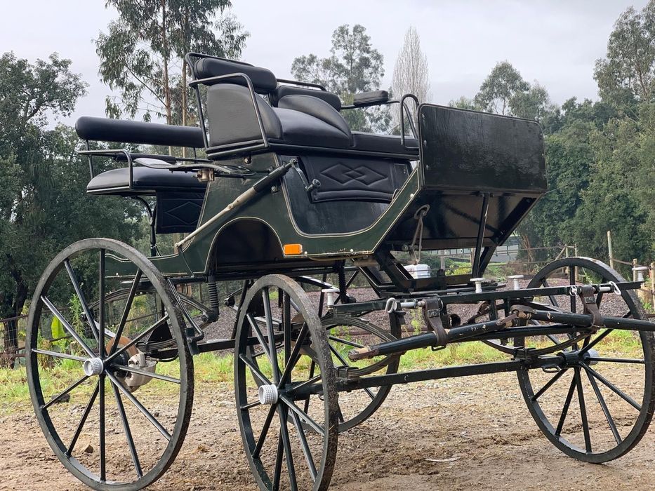 Charrete spider 1/2 cavalos