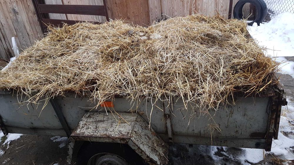 Obornik do ogródka, pod warzywa