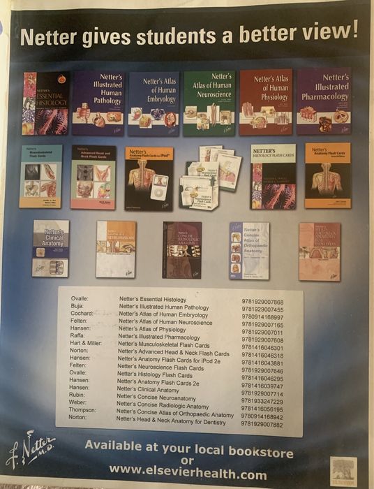 Netter- Atlas Anatomia Humana 4Edicão (versão portuguesa)