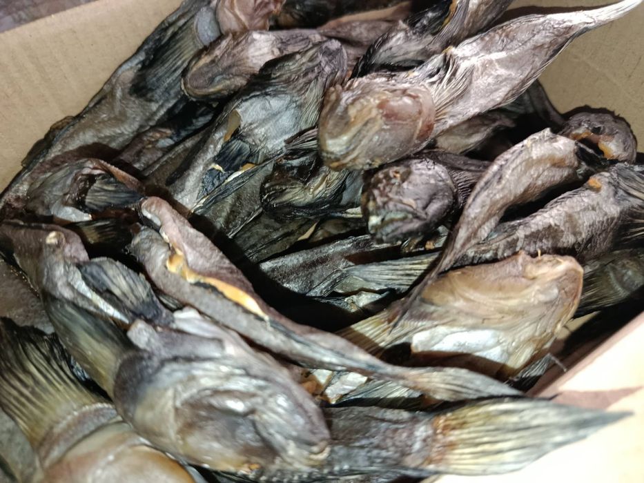 Бичок балтійський