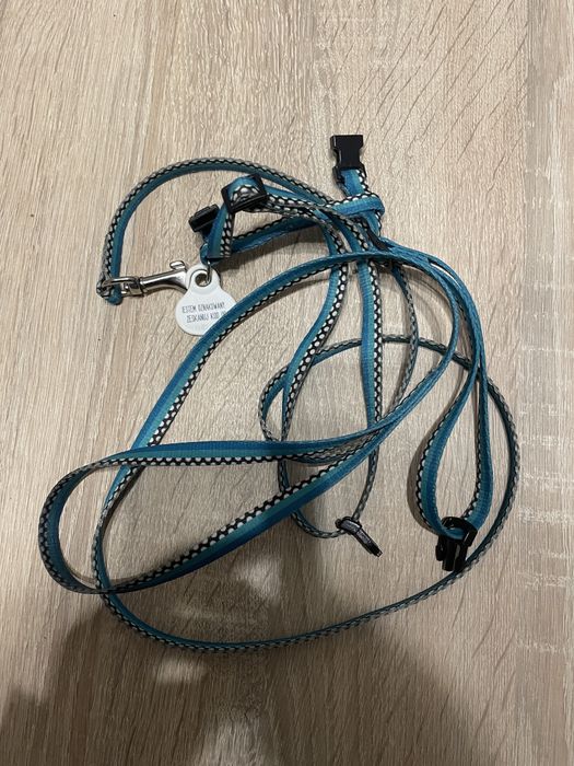 Smycz i szelki dla kota lub psa do 5 kg