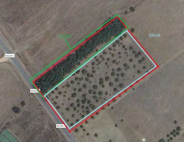 Terreno de Sobral e Oliveira