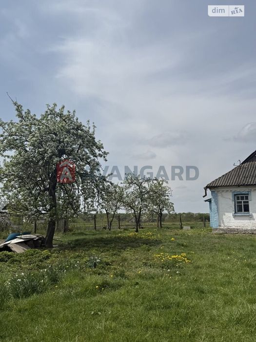 Будинок в Сосонці