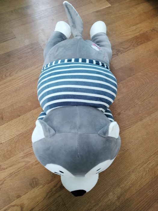 Piesek Husky maskotka + kocyk  poduszka