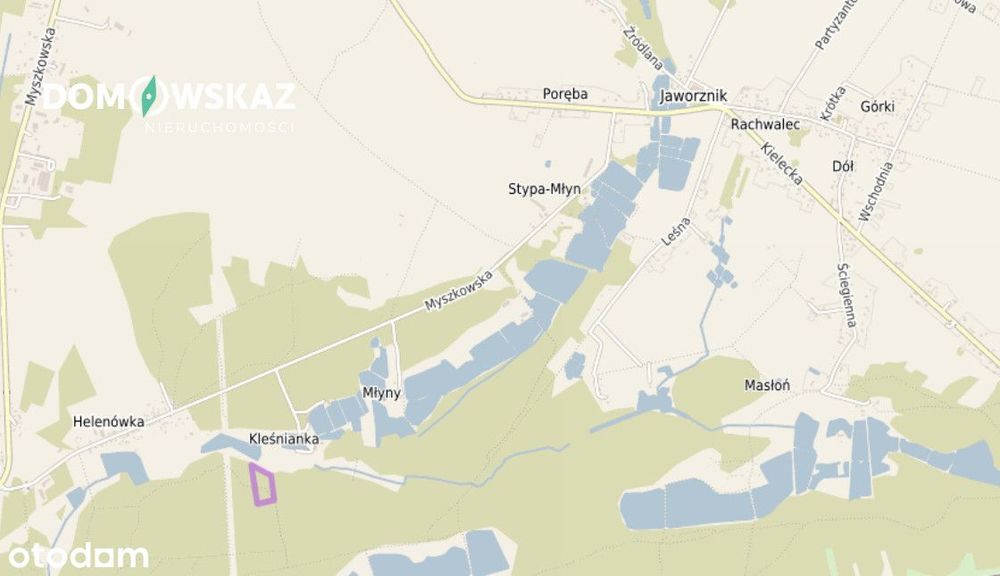 Zdjęcie 3