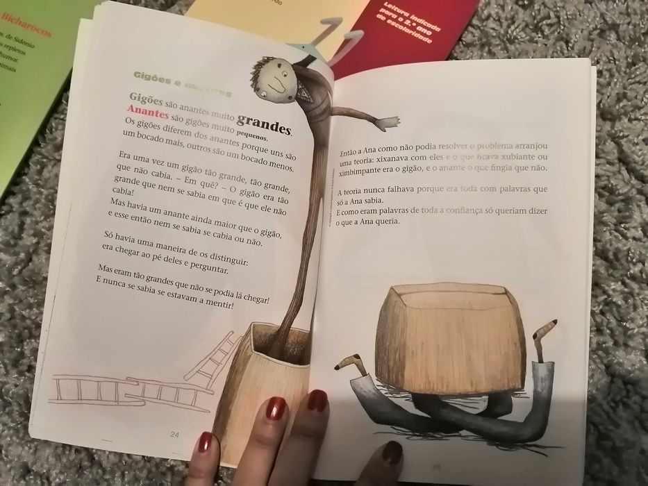 Livros PNL 1 ciclo para o 1º e 2º ano