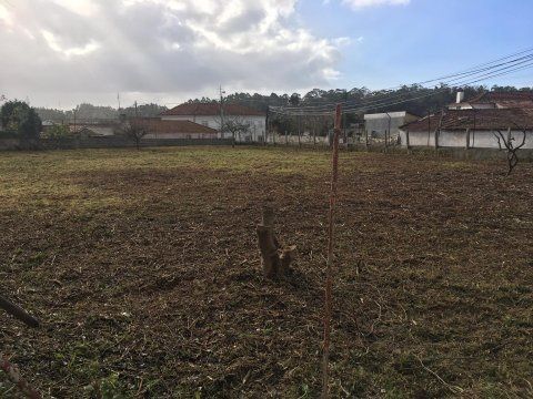 Limpeza de terrenos corte de árvores