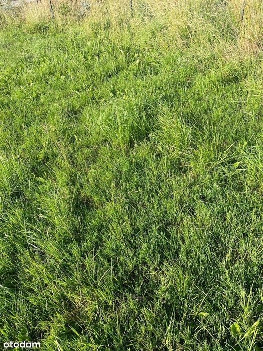 Ustronie /Sianożęty Nowe Działki od 300 do 5000m2