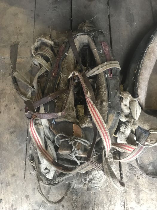 Продам хомути на коня