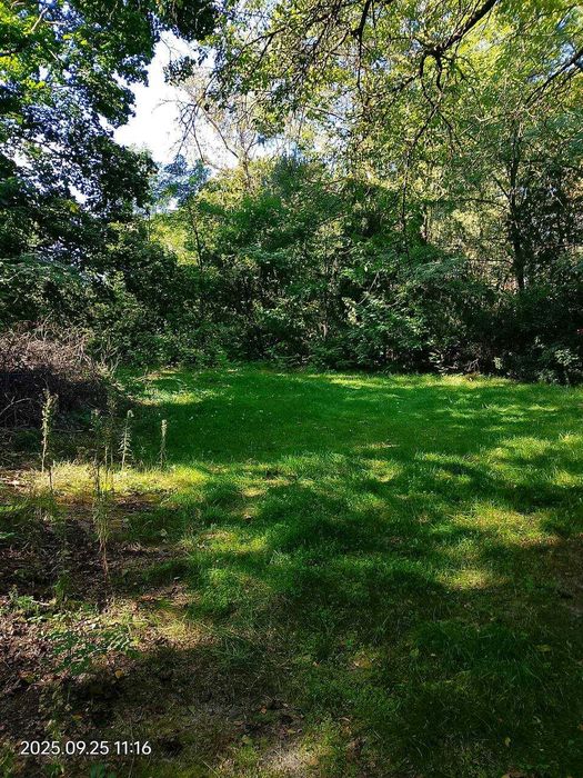 Zabytkowa chata Nadkole