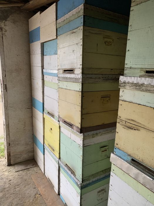 Вулики багатокорпусні