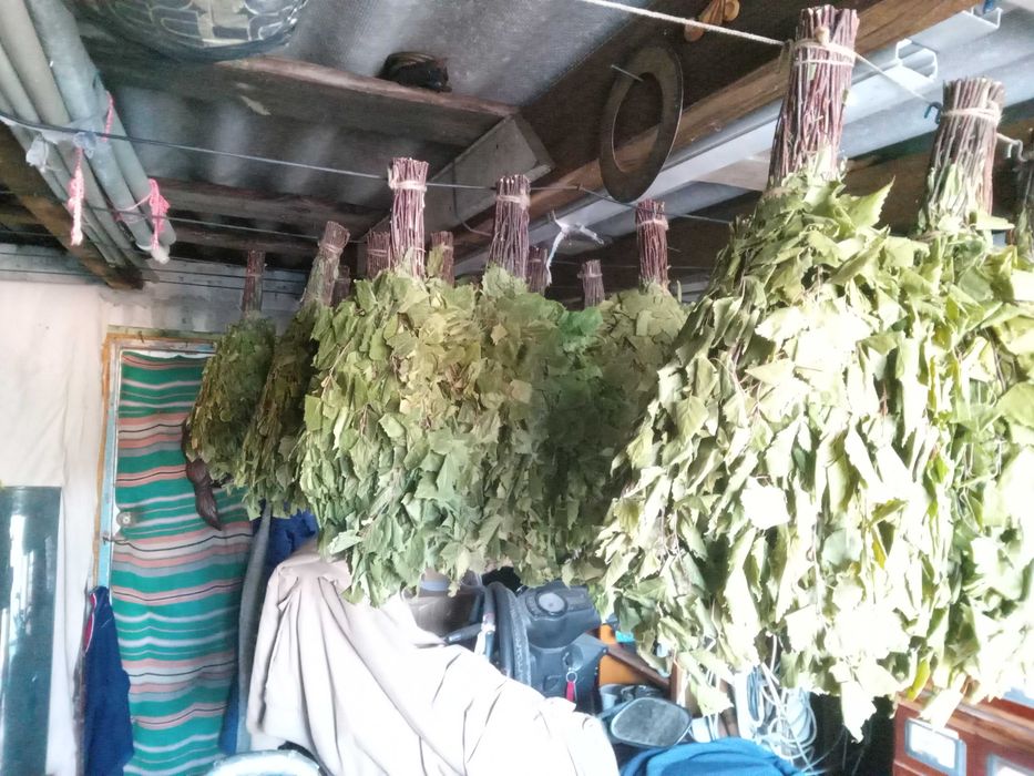 Продам віникі в баню