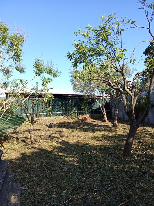 Limpeza de terrenos,jardins entre outros