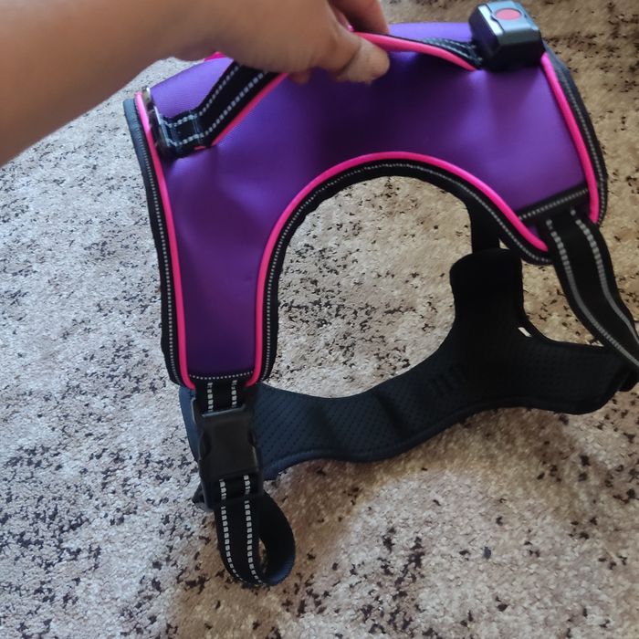 Шлея для собак з світовим ефектом