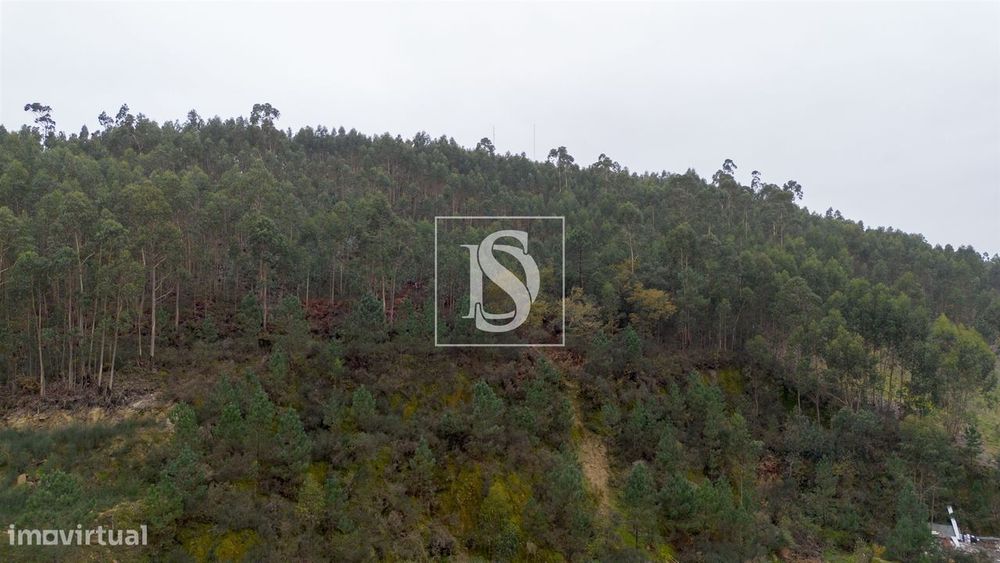 Terreno  Venda em Vandoma,Paredes
